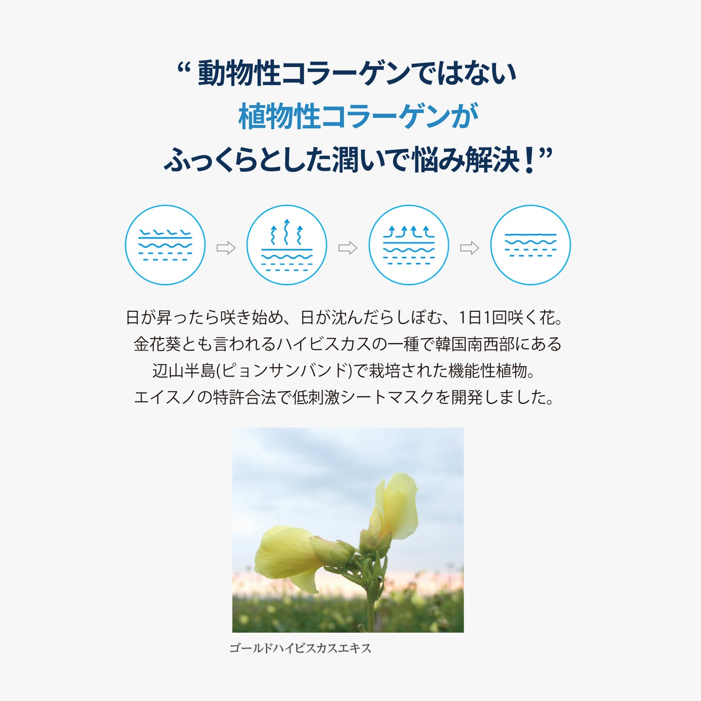 ハイドレーションシートマスク 5シート