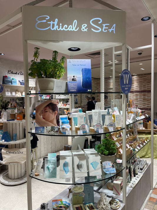 2024年8月　川崎店「Ethical & Sea」ポップアップ＆店舗販売